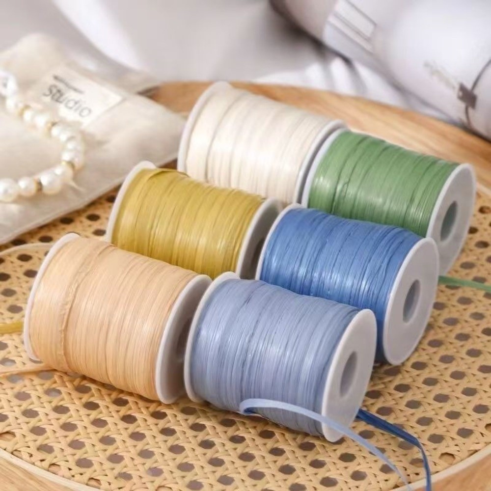 Premium Quality 120M Per Roll  – Crochet Bag Raffia Bewertung und Preis
