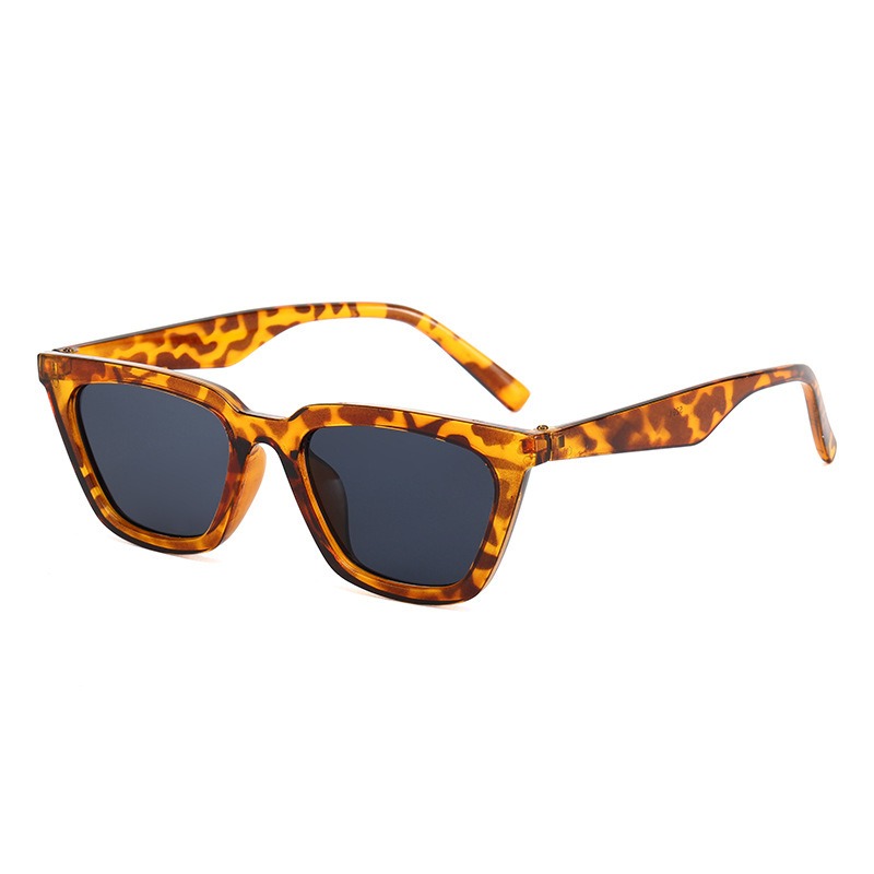 Vintage Leisure Cat Eye Sungla – Sunglasses Cat Eye Bewertung und Preis